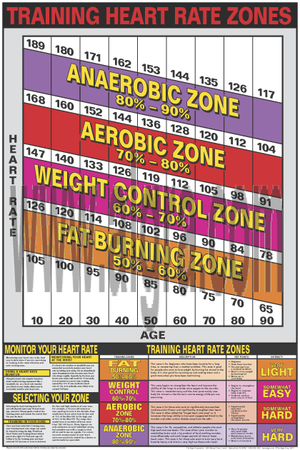 Heart Rate Zones Poster