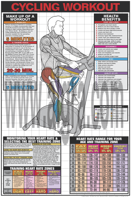 Cycling Poster