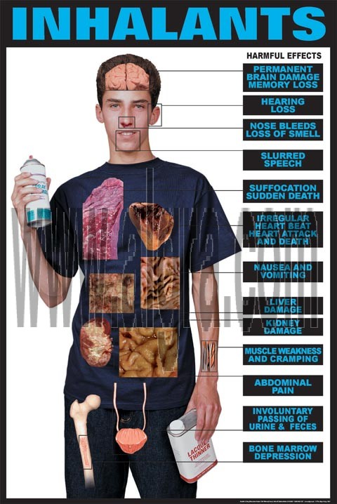 Inhalants Effects Transparency