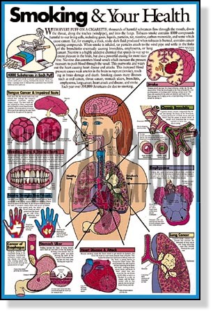 Smoking & Your Health Poster