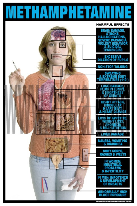 Methamphetamine Effects Transparency