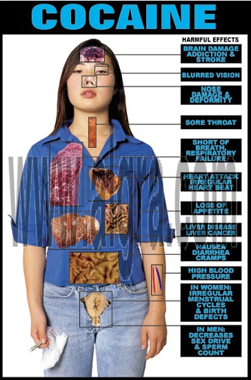 Effects of Cocaine Poster