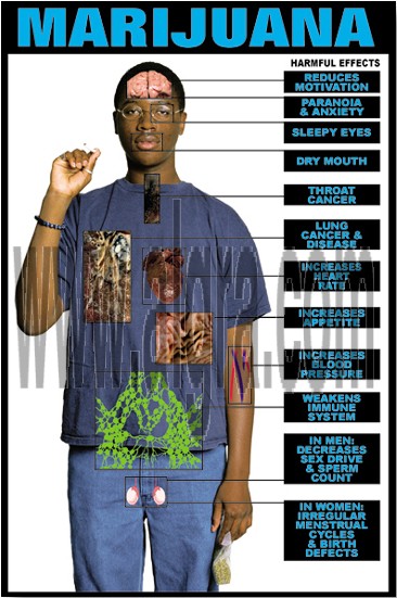 Effects of Marijuana Poster