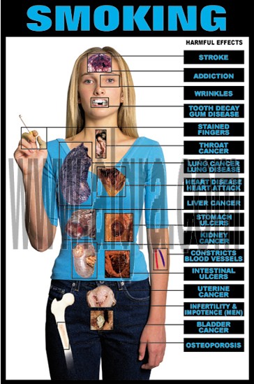 Smoking Effects Transparency