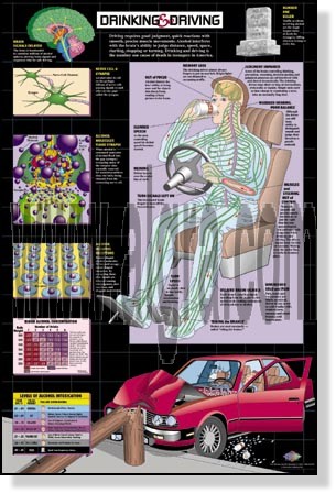Drinking & Driving Poster