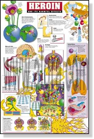 Heroin Abuse Poster 