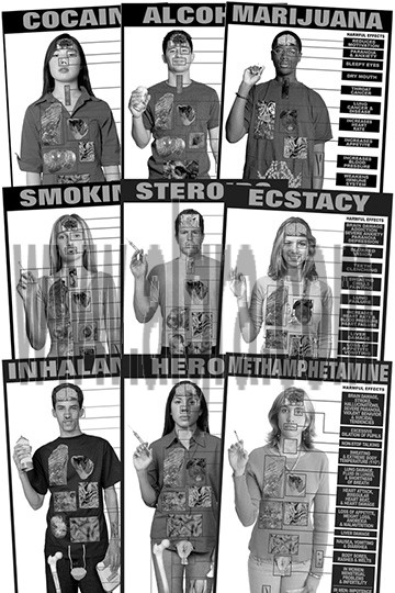 Complete Drug Education Study Sheets