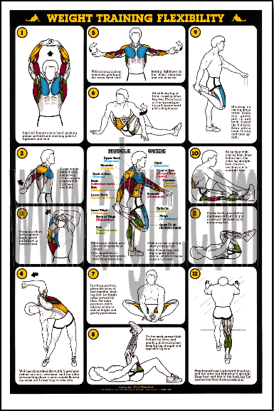 Weight Training Flexibility Poster