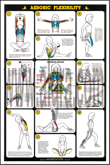 Aerobic Flexibility Poster