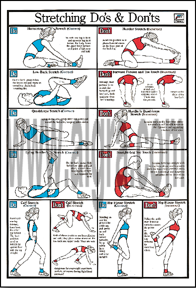 Stretching Education Poster