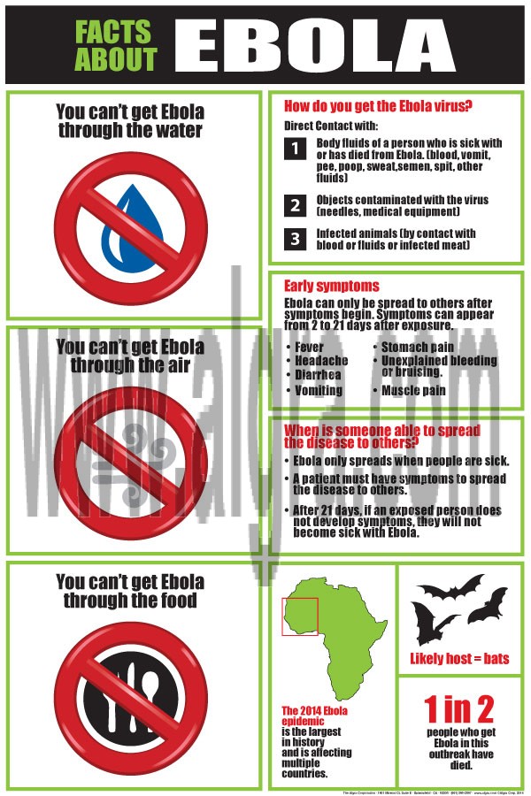 Facts About Ebola Poster