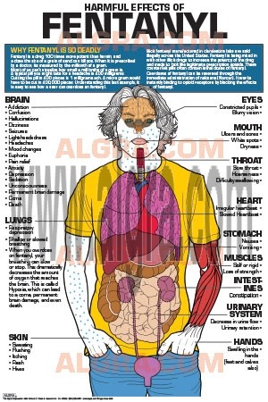FENTANYL -  The Harmful effects of Fentanyl Poster