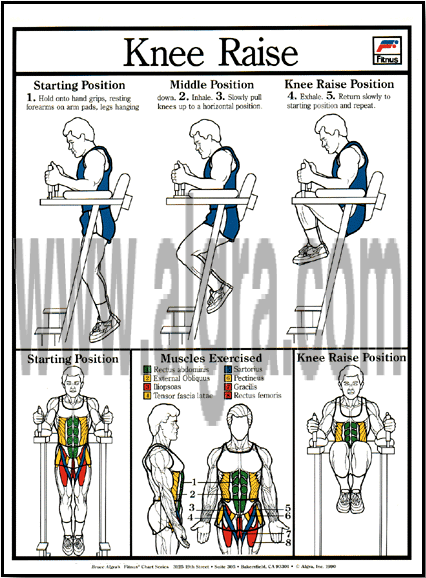 Knee Raise Poster