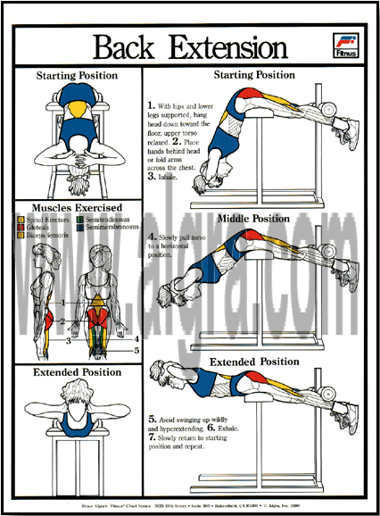 Back Extension Poster