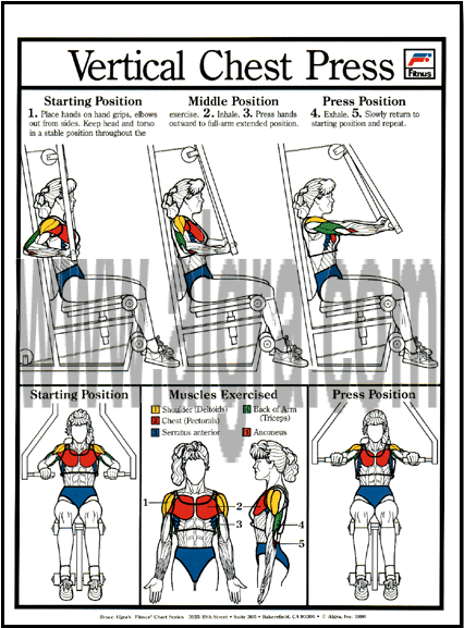Vertical Chest Press Poster