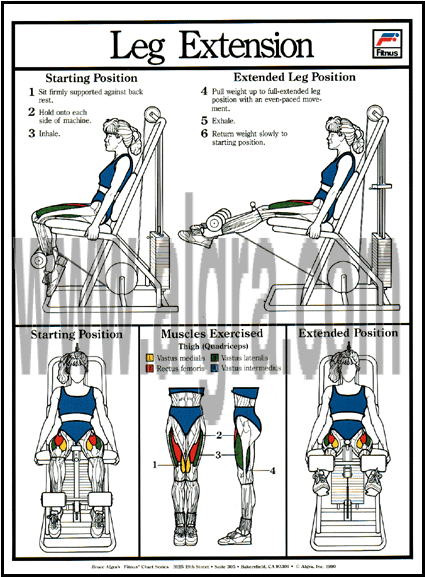 Leg Extension Poster