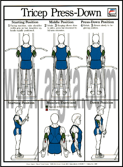 Tricep Press-Down Poster