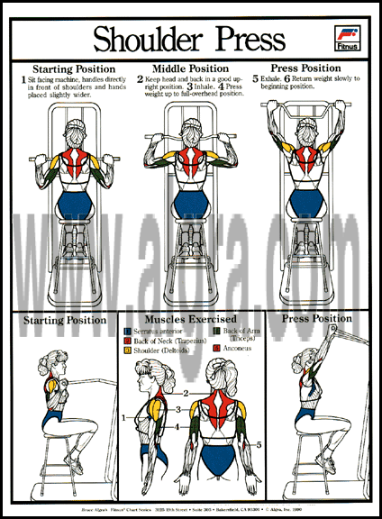 Shoulder Press Poster