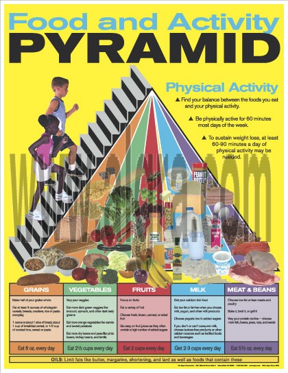 Food Pyramid Poster