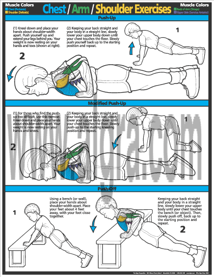 Chest / Arm / Shoulder Exercises Poster