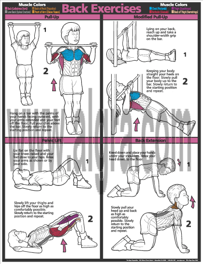 Back Exercises Poster