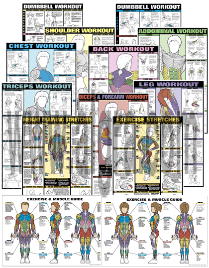 Complete Workout Series Posters