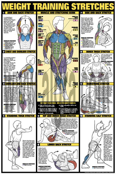NFC10 - Weight Training Stretches