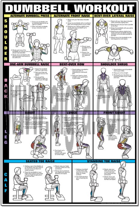 Dumbbell Shoulder, Back, & Leg Workout Poster