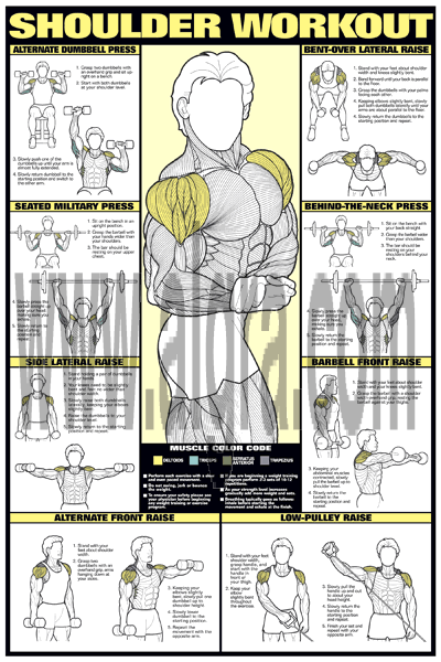 Shoulder Workout Poster