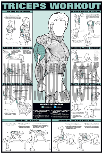 Triceps Workout Poster
