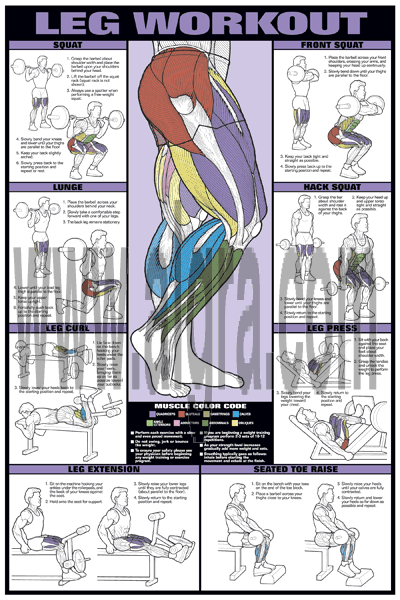 Leg Workout Poster