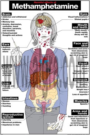 Harmful Effects of Methamphetamine Poster
