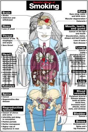 Harmful Effects of Smoking Poster