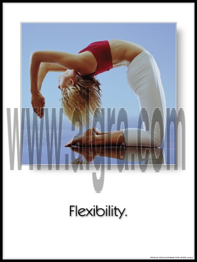Flexibility Poster
