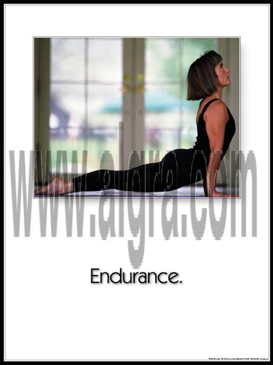 Endurance Poster