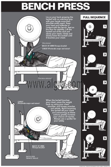 Bench press manual online