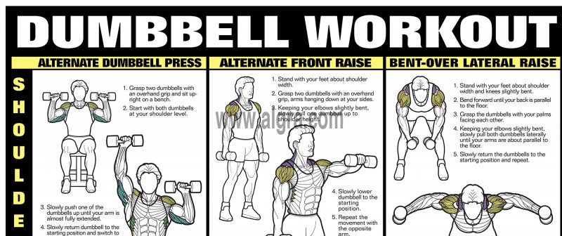 Shoulder and back dumbbell exercises clearance
