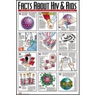 Facts About HIV and Aids Poster