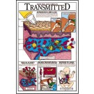 How the Aids Virus is Transmitted Grades 5-9 Poster
