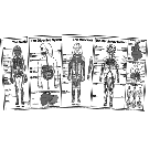 Complete Anatomy Coloring Sheet Series