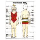 Child Body Poster