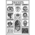 Aids and Opportunistic Diseases Study Sheets