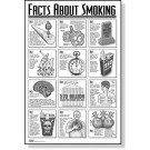 Smoking Facts Study Sheets