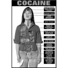 Cocaine Education Study Sheets