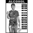 Alcohol Education Study Sheet