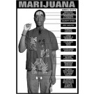 Marijuana Education Study Sheets