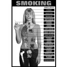 moking Education Study Sheets