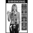 moking Education Study Sheets