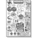 Harmful Effects of Heroin Study Sheets