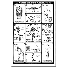 Weight Training Stretches Study Sheets